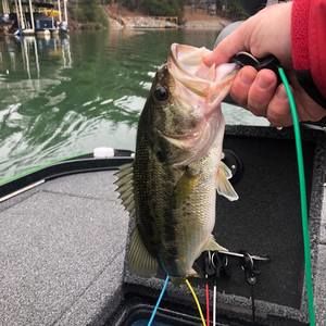 Meet your Posher, Travis